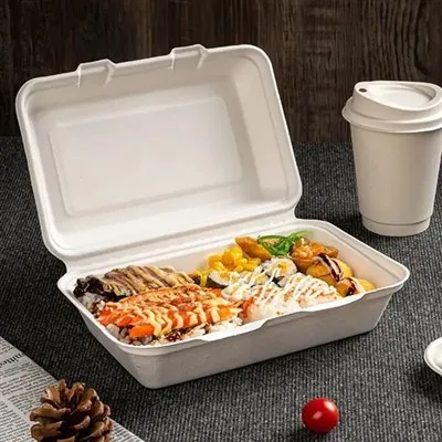 9x6 školjka iz sladkornega trsa